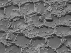 O rover Curiosity da NASA investiga uma estrutura poligonal incomum que se parece com um “favo de mel gigante marciano”
