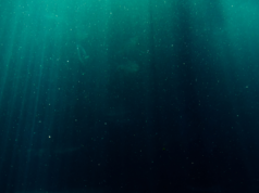 Em 2019, Viktor Vescovo fez o mergulho solo mais profundo da história da humanidade, descendo quase 11 quilômetros até o Challenger Deep e relatando que o que viu no fundo do oceano foi um saco plástico.
