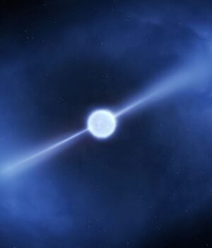 SUgHWaWso8P5GXWiohDffX-2000-80.jpg