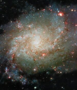 a-volunteer-scanning-radio-survey-data-f.jpg