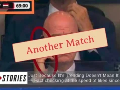 Verificação de fatos: a imagem não mostra o presidente da FIFA, Infantino, fazendo uma ligação durante a partida entre Egito e Argentina – ele estava em um jogo diferente