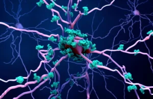 Cientistas finalmente descobriram como o Alzheimer mata células cerebrais