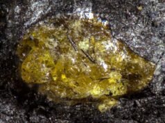 O âmbar mais antigo do mundo vem do mundo 150 milhões de anos antes dos dinossauros: Science Alert