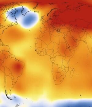 analyses-reveal-record-shattering-global-warm-temperatures-in-2015-41dae0.jpg