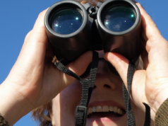 Descobriu-se que observadores de pássaros experientes tinham tecido cerebral mais denso e estruturalmente complexo em regiões associadas à atenção e à percepção, e quando mostraram pássaros que nunca tinham visto antes, essas mesmas regiões foram mais fortemente ativadas.