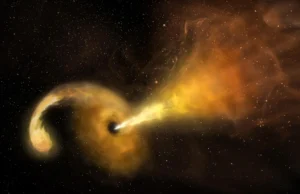 Brilhando como 10 bilhões de sóis: Swift da NASA vê um buraco negro errante devorando uma estrela