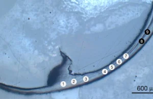 Este antigo verme marinho tem mandíbulas “biometálicas” que os cientistas nunca viram