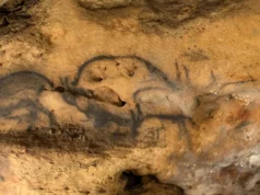 Carvão escondido revela a verdadeira idade das pinturas rupestres antigas