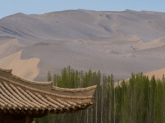 A China plantou mais de 66 mil milhões de árvores num dos maiores projectos florestais do mundo, e o seu desempenho não é igual ao das florestas naturais.