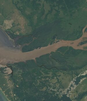 congo-river-plume.jpg