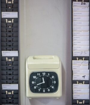 d41586-026-01773-5_52544334.jpg
