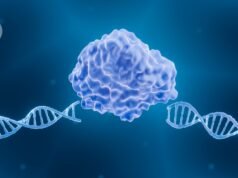 CRISPR obtém um aumento de potência com ‘tesouras moleculares’ projetadas por IA