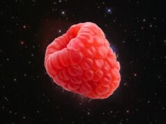 Doce! Cientistas encontram pela primeira vez açúcar de framboesa no espaço interestelar – e isso pode nos dizer como a vida se originou na Terra