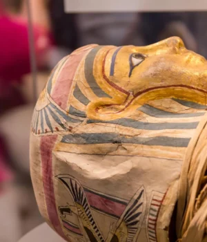 egyptian-mummy-head.webp