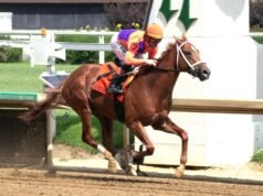 O Haskell Traverse de US$ 1 milhão serve como um trampolim para a Breeders’ Cup