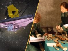 Notícias científicas desta semana: O Telescópio James Webb encontra uma substância nunca antes vista, a ‘Grande Muralha Verde’ da China cresce mais rápido do que as plantas naturais e um mistério do assassinato de Medici é resolvido
