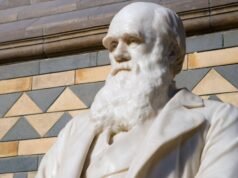 Atualizando Darwin: biólogos estão retornando a uma teoria mais antiga para explicar anomalias na evolução