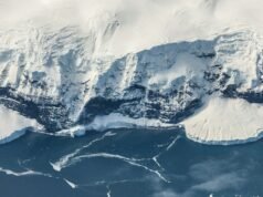 Por que a Antártica congelou milhões de anos antes do Ártico – novo estudo