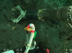 Cientistas encontraram ouro no lugar mais irônico possível