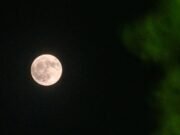 Como ver a lua cheia de julho