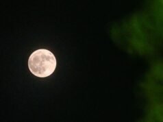 Como ver a lua cheia de julho
