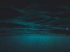 Seis milhas abaixo do Oceano Pacífico, sem luz solar ou fotossíntese, um submarino chinês encontrou milhares de vermes tubulares vermelho-sangue e mariscos brancos prosperando em infiltrações de metano – o ecossistema animal mais profundo já descoberto na Terra.