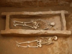 DNA antigo revelou um mistério arrepiante da cidade chinesa de Shimao, de 4.000 anos de idade