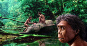 Nova descoberta de fóssil explica o desaparecimento dos ‘Hobbits’ de Flores há 61.000 anos