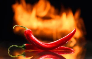 Comer pimenta caiena pode aumentar o risco de vários tipos de câncer graves