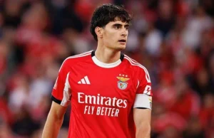 Bournemouth em negociações para o defesa Silva, do Benfica