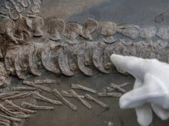 Se outra civilização avançada vivesse na Terra antes de nós, saberíamos?