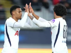 The Hoddle of Coffee: notícias e links do Tottenham Hotspur para quinta-feira, 30 de julho