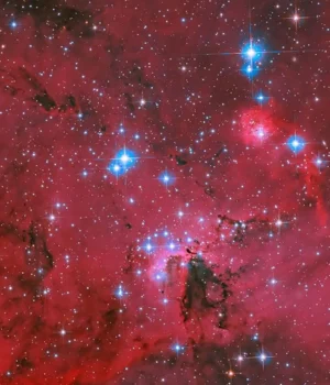 hubble-lmc-lh95.webp