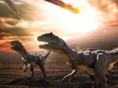 Pesquisadores descobriram mais sobre o asteróide que matou os dinossauros há 66 milhões de anos