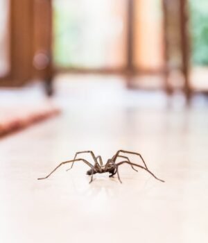 iStock-860254376.jpg