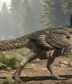 image_14899f-Zhengheornis-buyu.jpg
