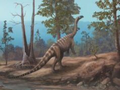 Nova espécie de dinossauro do Triássico descoberta nas margens do Lago Kariba, no Zimbábue