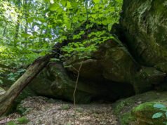 Uma reserva natural montanhosa para caminhadas, cachoeiras sazonais e vibrações serenas entre Indianápolis e Evansville