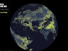 Existe uma rede global de fungos sob seus pés. Este é o primeiro mapa completo