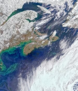 nasa-pace-new-england-phytoplankton-bloom.jpg