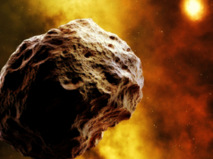 Examinando amostras trazidas do asteróide Bennu, os cientistas encontraram ribose e glicose no seu interior – e o mesmo asteróide já detectou fosfatos e todas as nucleobases de ARN, todos os elementos químicos necessários para produzir ARN que estava presente no início do sistema solar, muito antes de existir vida na Terra.