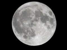 Depois que os astronautas da Apollo rastrearam a poeira lunar em suas cabines, ela obstruiu as vedações, arranhou suas viseiras e deixou um membro da tripulação espirrando em “febre do feno lunar” – mas todos concordaram que a poeira tinha um cheiro estranho de serragem.