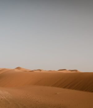 pexels-green-sahara-desert-dunes.jpg
