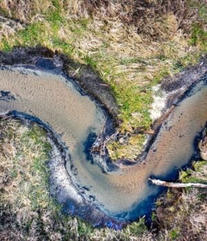 pexels-river-meanders-prevegetation.jpg