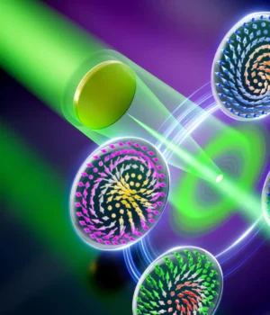 poisson-spot-four-types-of-skyrmions.webp