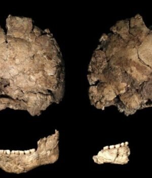 qafzeh-25-skull-side-view-1200x675.jpg