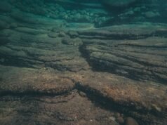 Em 2024, os investigadores relataram algo que deveria ser impossível: nódulos metálicos espalhados pelo fundo do mar do Pacífico produziam oxigénio na escuridão total, produzindo “oxigénio escuro” sem um único raio de luz solar.