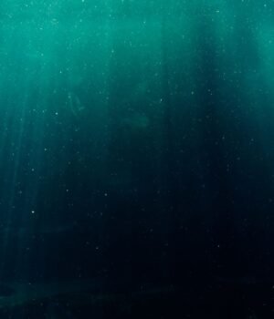 spacedaily_deep_seafloor_seen_pexels-1.jpg