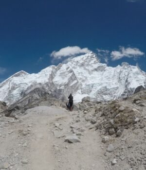 spacedaily_everest_limestone_fossils_pexels.jpg