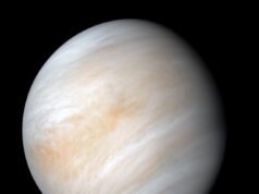 Cerca de 50 quilómetros acima da superfície de Vénus, o calor e a pressão esmagadores abaixo dão lugar a temperaturas e pressões atmosféricas surpreendentemente próximas da Terra, uma região que a NASA descreve como o ambiente mais semelhante à superfície da Terra no sistema solar – mais tolerante do que a superfície de Marte, pelo menos por essa medida.